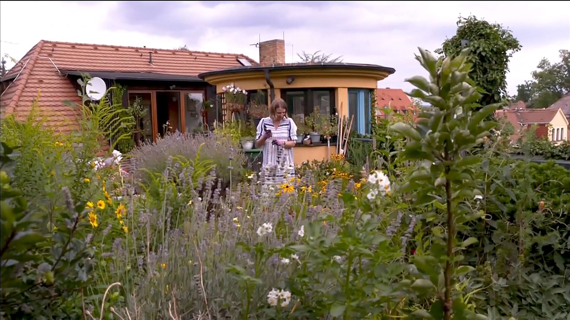 MDR Garten Paradies für Insekten auf einer sonnigen XXLTerrasse ARD