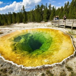 Wie klingen eigentlich ... die USA:  Wölfe im Yellowstone Nationalpark | Gordon Hampton und die Stille | Powwow in New Mexico