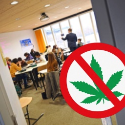 FOTOMONTAGE: Themenfoto Cannabis Verbot an Schulen. Schulunterricht an einem Gymnasium. Lehrer und Schueler / Schuelerinnen der 11.Klasse waehrend dem Unterricht.