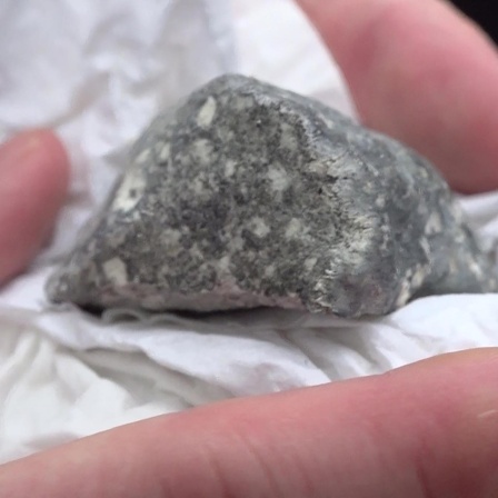 Ein mutmaßliches Meteoritenteil liegt in einem Papiertaschentuch: Es ist ein mittelgrauer Stein mit helleren, grauen Flecken.
