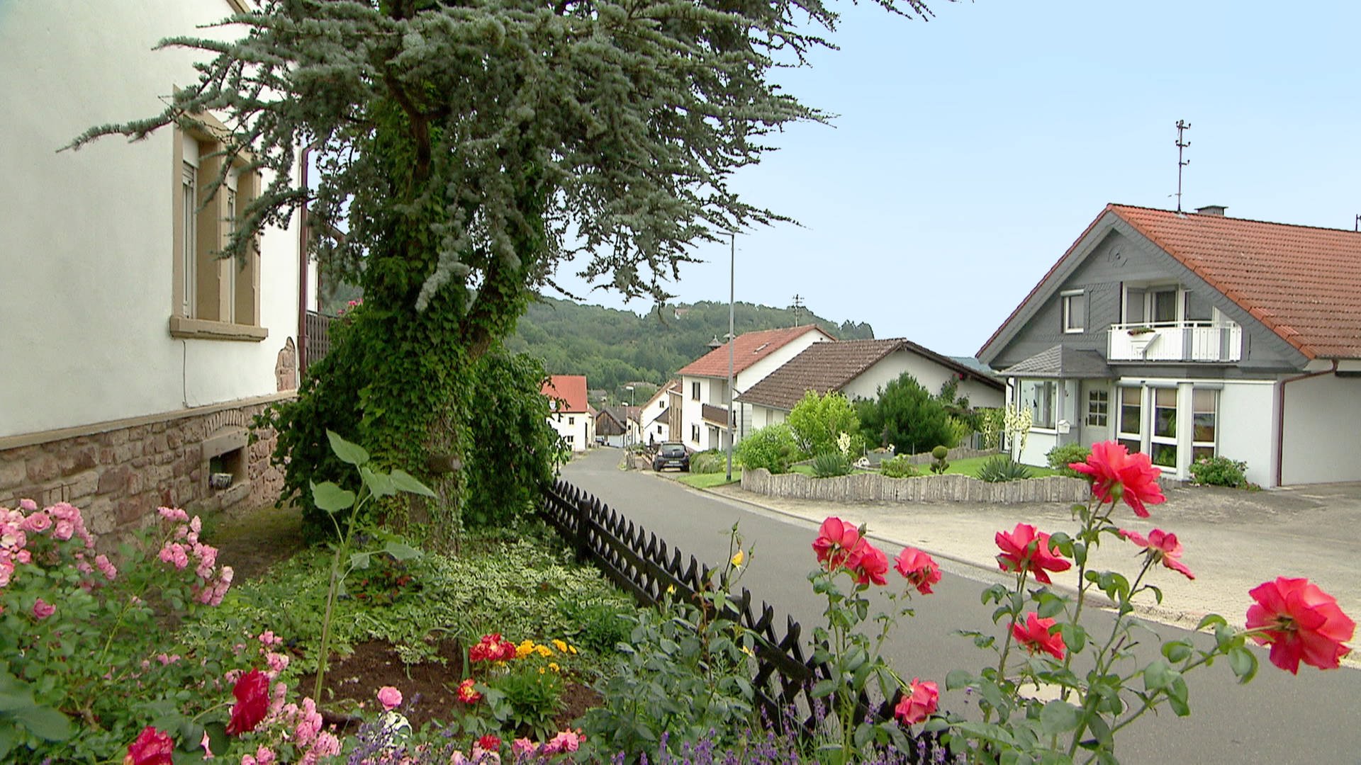 Landesschau RheinlandPfalz Oberdorf in Langweiler ARD Mediathek