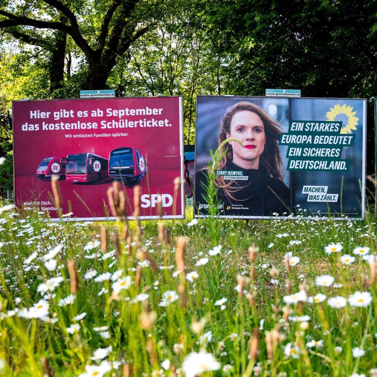 BR24 Thema des Tages · Ampel-Wahlkampf in Sachsen und Thüringen ...