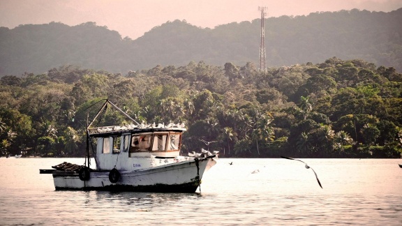 Verrückt Nach Meer - Im Dschungel Von Guatemala (226)