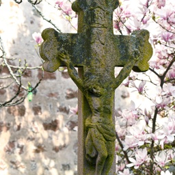 Kruzifix vor Magnolien.
