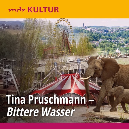 Cover für "Bittere Wasser" von Tina Pruschmann