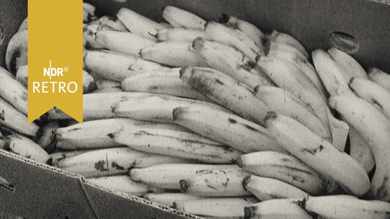 Bananen werden im Hamburger Hafen weggeworfen (stumm)