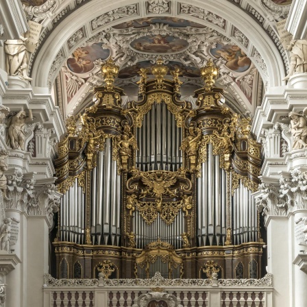Luft und Liebe - die Orgel - Über die Faszination von Pfeifen und Tasten