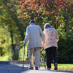  Altes Ehepaar-Rentner -Mann und Frau gehen mit Nordic Walking Stoecken spazieren. 