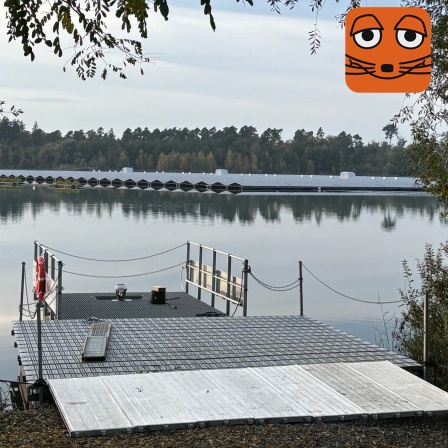 Eine Solaranlage mitten auf dem Philippssee bei Bad Schönborn