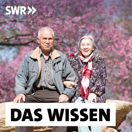 Älteres Paar sitzt in Japan vor einem blühenden Kirschbaum: In Japan leben fast neun Millionen Rentner allein. Zehntausende sterben jedes Jahr einsam. Jetzt werden Gegenrezepte erprobt: Städte ermutigen Senioren, ihr Lebensende frühzeitig vorzubereiten. Manche Rentner suchen aktiv nach einem Heiratspartner oder nach &#034;Grabfreunden&#034; für einen gemeinsamen Liegeplatz auf dem Friedhof.