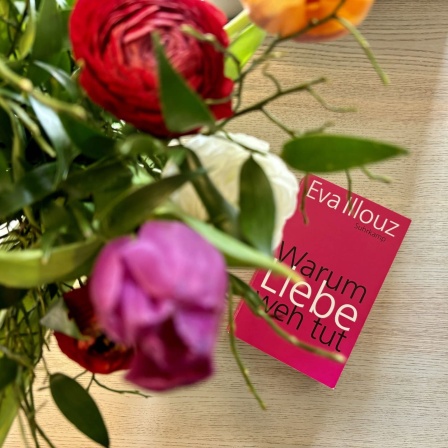 Eva Illouz - Warum Liebe weh tut