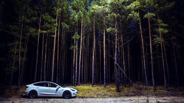 Tesla Model 3 auf einem Waldweg nahe Grünheide (Bild: imago images / Friedrich Bungert)
