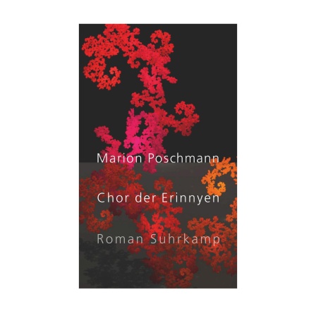 Cover des Buches &#034;Chor der Erinnyen&#034; von Marion Poschmann