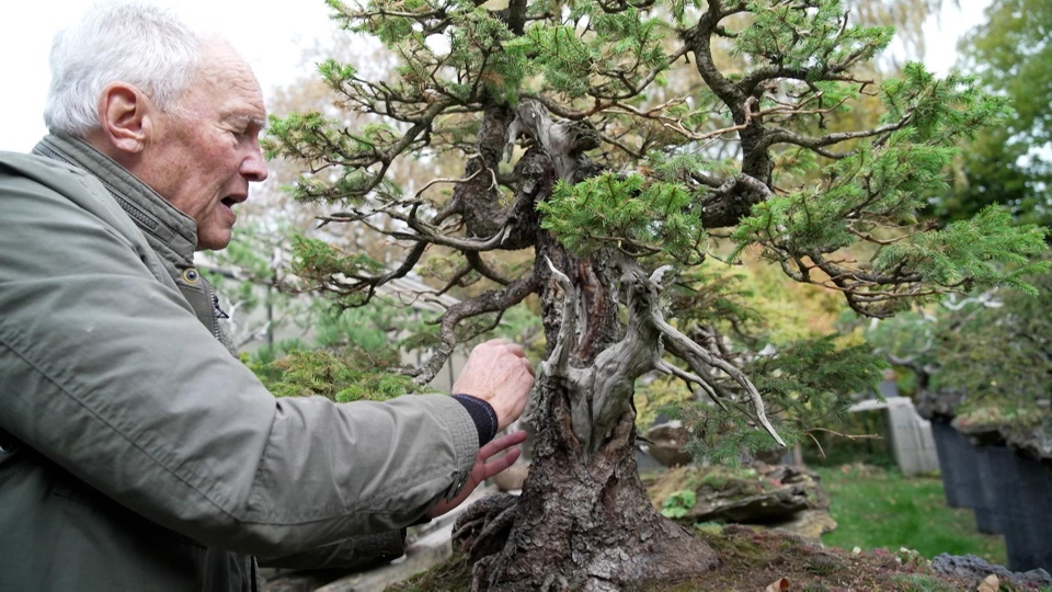 Bonsai-Paradies in Egling: Je kleiner desto gut?