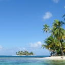Tropische Insel / Strand mit Palmen, Cayos Los Grullos,San-Blas-Inseln, Panama, Mittelamerika
