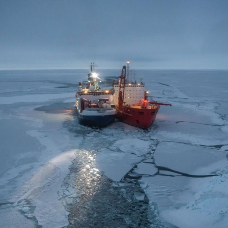 Mosaic-Expedition - Polarstern findet ihre Eisscholle