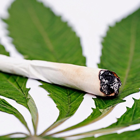 Ein Joint liegt auf einem Cannabisblatt.