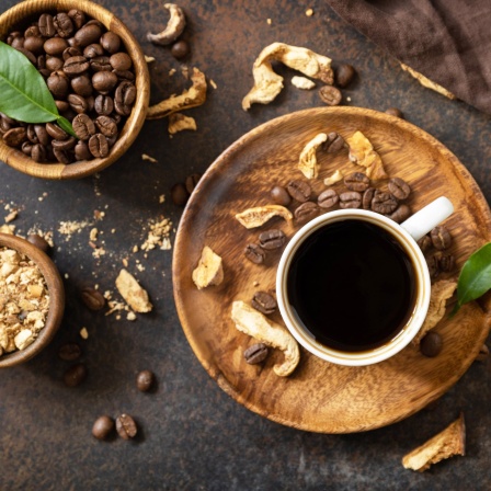 Kaffeetasse und Kaffeebohnen | Wie nachhaltig ist Kaffee?