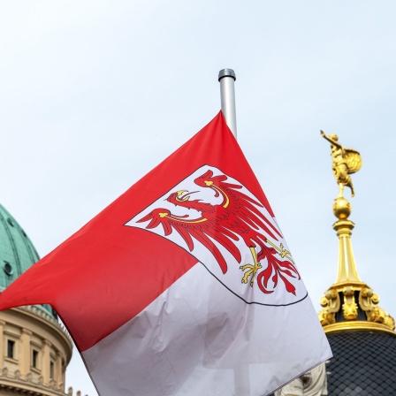 Die Landesflagge mit dem roten Brandenburger Adler weht vor der Kulisse der Nikolaikirche und der goldenen Fortuna im Hof des Brandenburger Landtages.