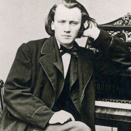 Der junge Johannes Brahms