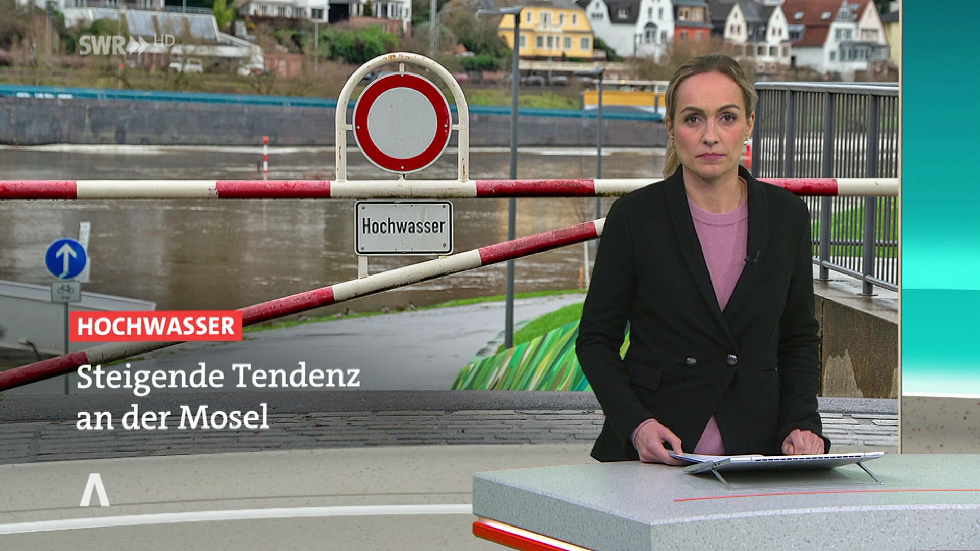 SWR Aktuell Rheinland-Pfalz: Sendung 19:45 Uhr Vom 15.1.2023 | ARD ...