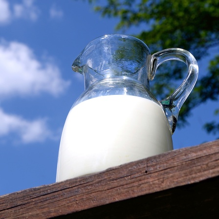 Eine Glaskanne mit Milch steht auf einer Mauer. 