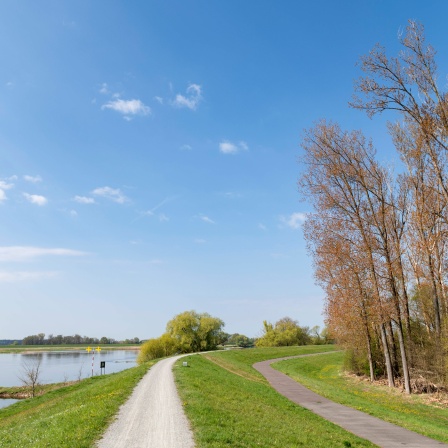 Fahrradweg bei Wittenberge entlang der Elbe
