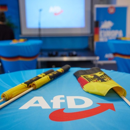 Bundeswappenfahnen liegen auf einem Tisch mit AfD-Logo auf einer Wahlparty in der AfD-Parteizentrale vor der ersten Hochrechnung zur Europawahl bereit (09.06.2024).