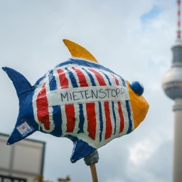 Bei einer Demonstration in Berlin sind ein Fisch mit der Aufschrift "Mietenstopp" und im Hintergrund der Berliner Fernsehturm zu sehen.