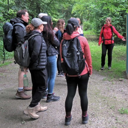 Singlewanderung mit Wanderführerin Steffi 