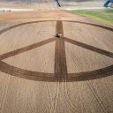 Peace-Symbol auf einem Acker bei Erfurt