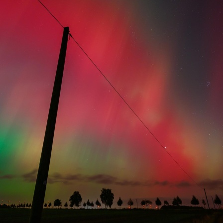 So könnt Ihr Polarlichter noch lange in Deutschland sehen | PFAS - Ewigkeitschemikalien verbrennen hilft? | Biene mit Drohne verfolgt und gefilmt (110)