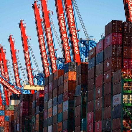 Containerschiffe liegen im Waltershofer Hafen am Container Terminal Burchardkai.