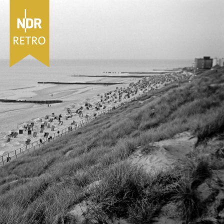 Der Weststrand bei Westerland mit Holzbuhnen und Strandkörben auf Sylt, 1961