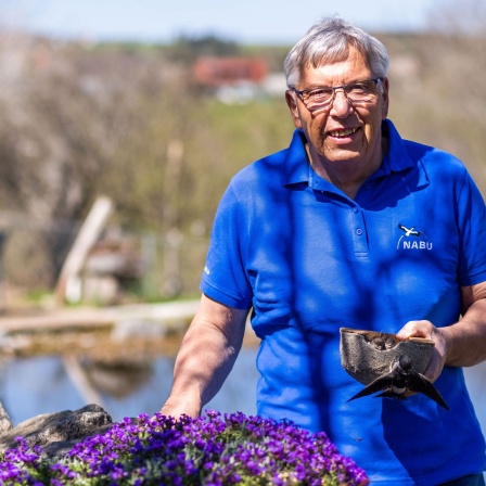 Rudi Apel steht mit einem künstlichen Schwalbennest in der Hand in seinem Garten. Apel setzt sich bundesweit dafür ein, dass Häuser schwalbenfreundlicher werden. Archivfoto