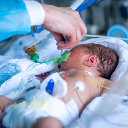 Ein zu früh geborenes Baby wird auf einer Station für &#034;Extrem-Frühgeborene&#034; im Dietrich-Bonhoeffer-Klinikum von einer Krankenschwester versorgt.