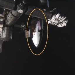 Eine Illustration zeigt, wie das Raumschiff SUSIE an die Internationale Raumstation angedockt ist.