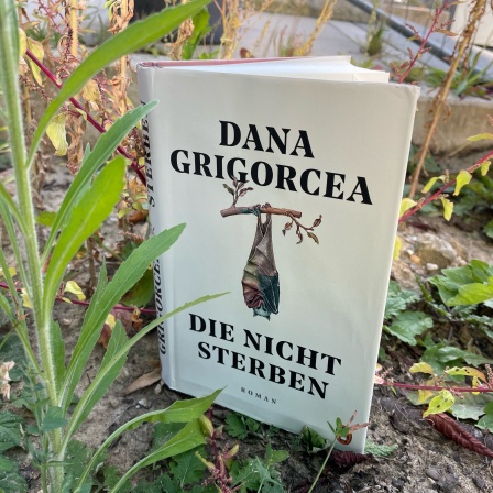 Dana Grigorcea - Die nicht sterben