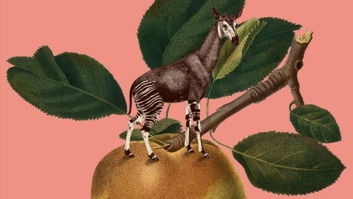 Bild: Adobe Stock/Montage BR 