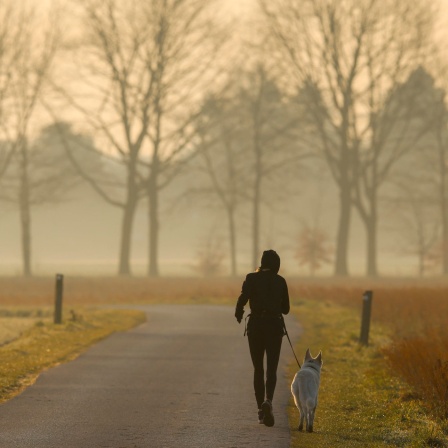 Eine Joggerin mit Hund im durch Saharastaub dunstigen Morgenlicht