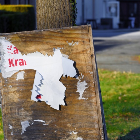 Abgerissene Wahlplakate zur Bundestagswahl