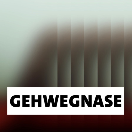 Wort der Woche: Gehwegnase