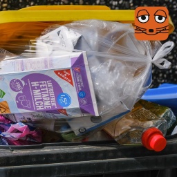 MausZoom, Themenbild volle Mülltonne