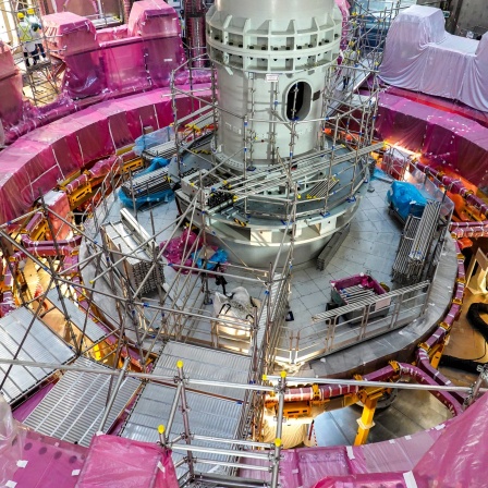 Ein Blick auf die Reaktorzone des ITER (International Thermonuclear Experimental Reactor).