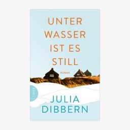 Buchcover: Julia Dibbern - Unter Wasser ist es still