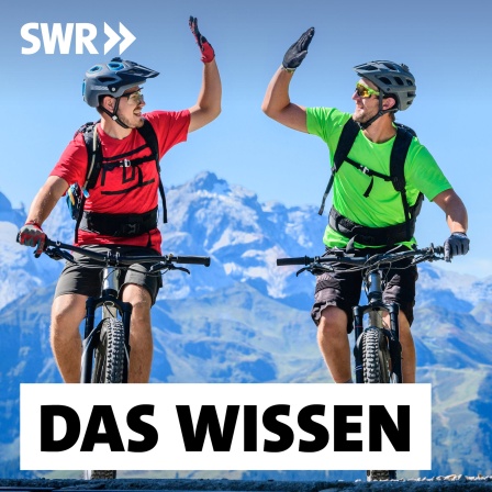 Zwei Mountainbiker feiern ihre Leistung nach einer anstrengenden Tour im Gebirge und klatschen sich mit den Händen ab: Wer sich freiwillig anstrengt, hat oft Spaß dabei. Denn Leistung gibt uns das Gefühl, wertvoll zu sein und uns in schwierigen Situationen selbst helfen zu können.