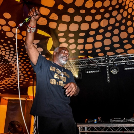 Ragga Twin hebt Mikrofon auf der Bühne in die Luft | Bild: picture-alliance/dpa