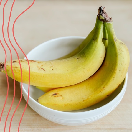 Bananen in grün-gelber Variation der Reife