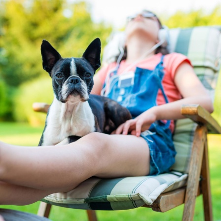 Ein Hund und ein Mädchen chillen im Garten und hören Musik.
