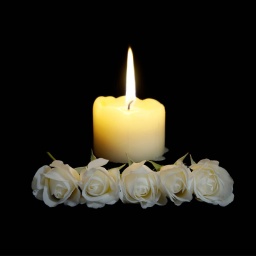 brennende Kerze hinter weißen Rosen, schwarzer Hintergrund